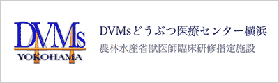 DVMsどうぶつ医療センター横浜
